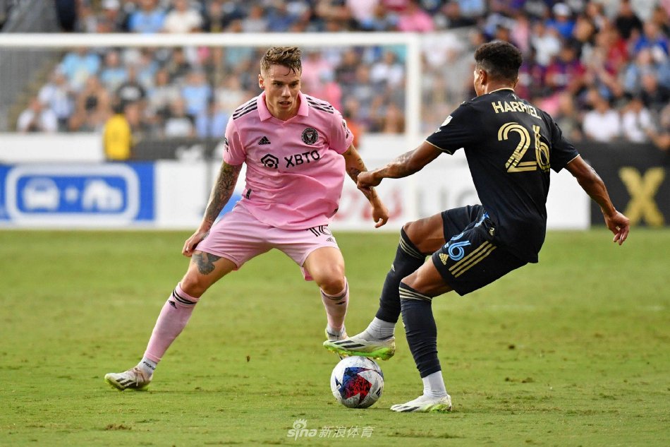 不可忽视的 不可忽视的